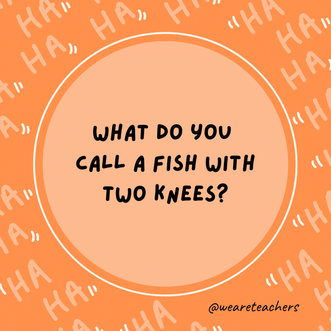 What do you call a fish with two knees?

A two-knee fish.- dad jokes for kids