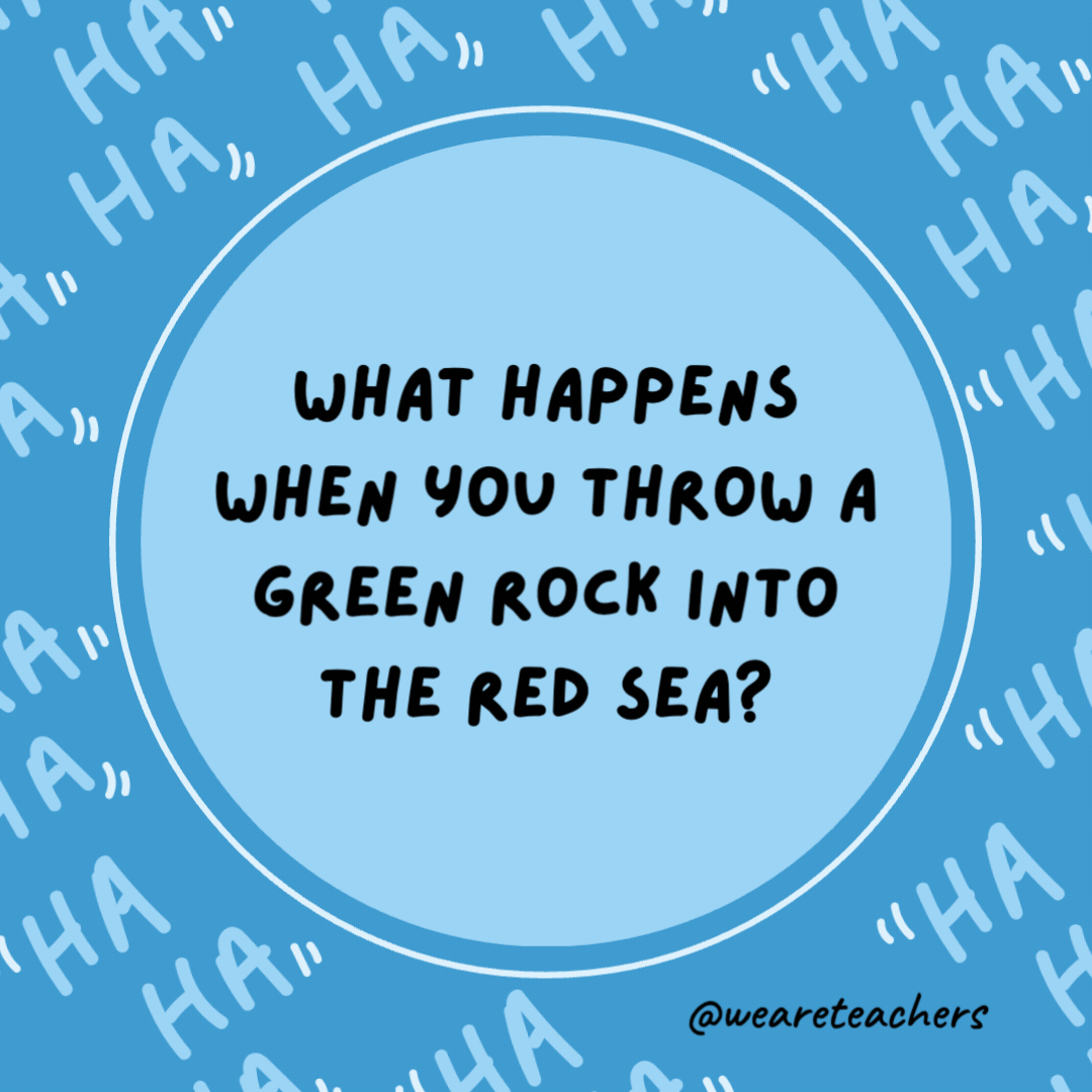 What happens when you throw a green rock into the Red Sea?

It gets wet.- dad jokes for kids