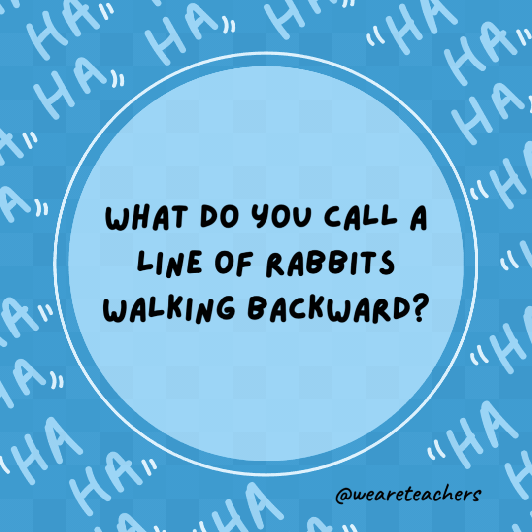What do you call a line of rabbits walking backward?

A receding hareline.