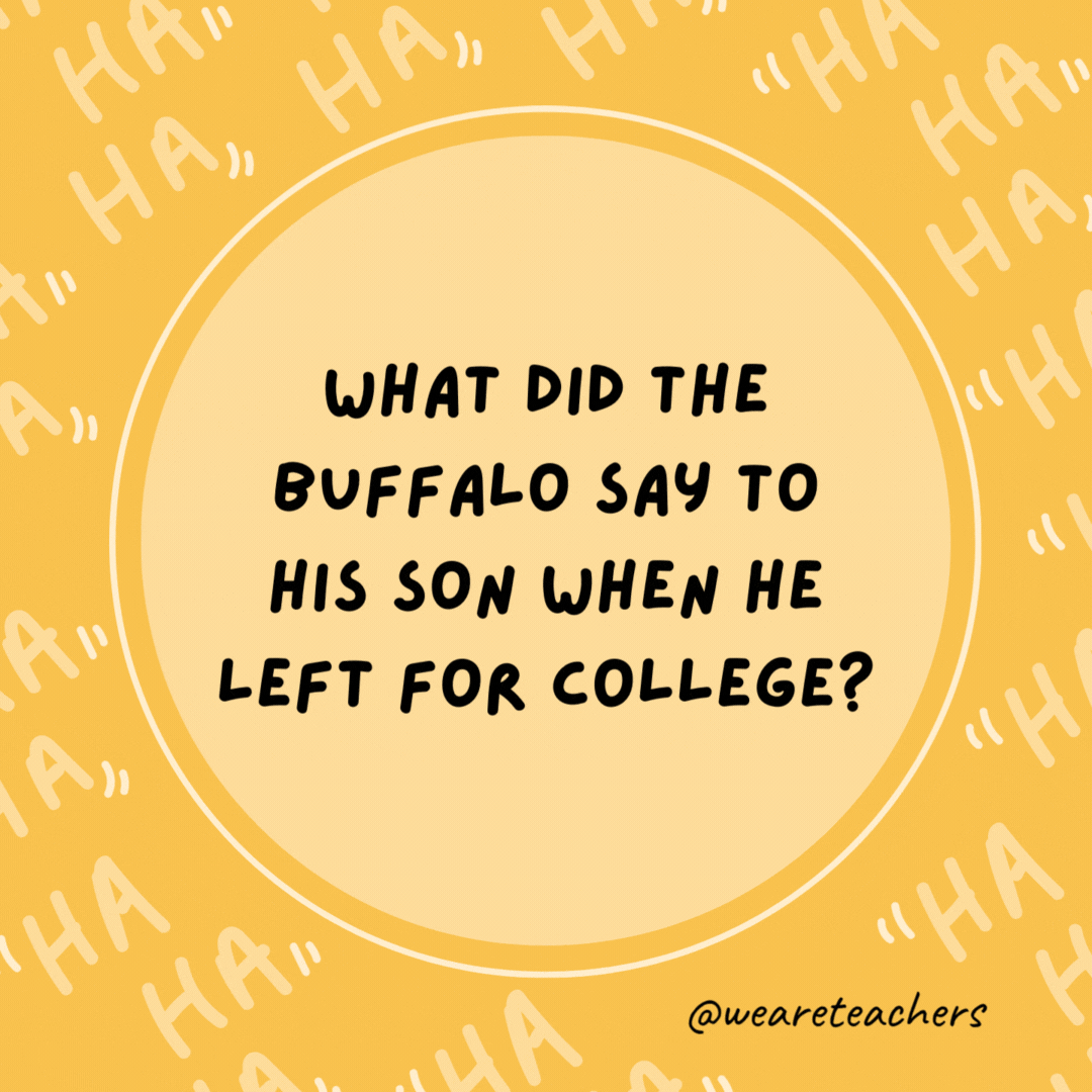 What did the buffalo say to his son when he left for college?

Bison.- dad jokes for kids