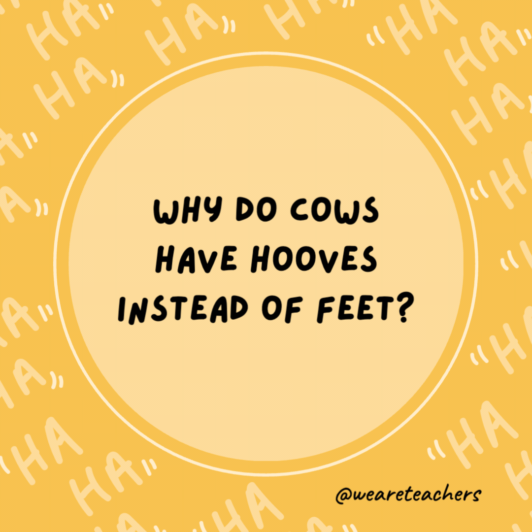 Why do cows have hooves instead of feet?

Because they lactose.