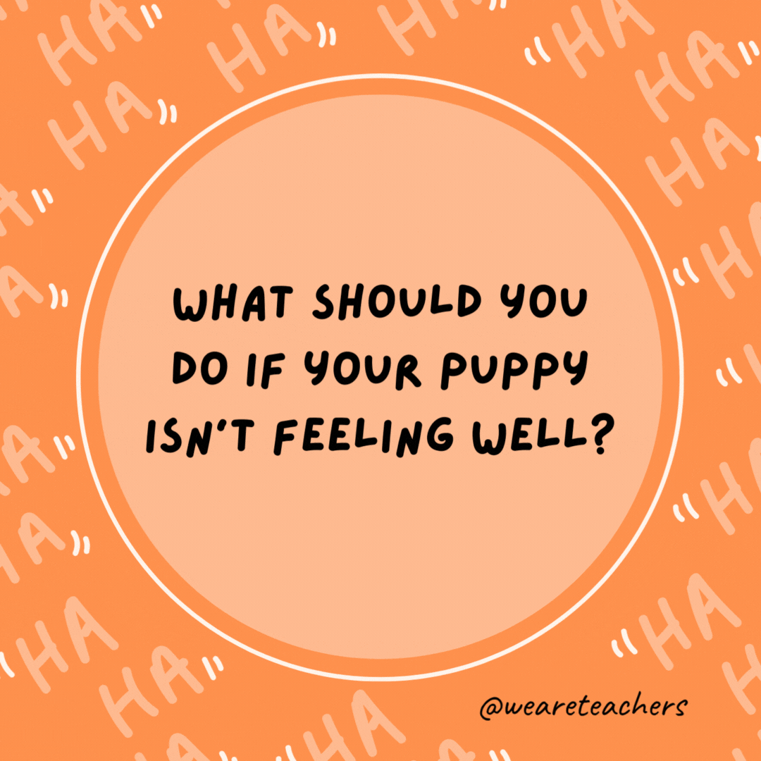 What should you do if your puppy isn't feeling well?

Take him to the dog-tor.- dad jokes for kids