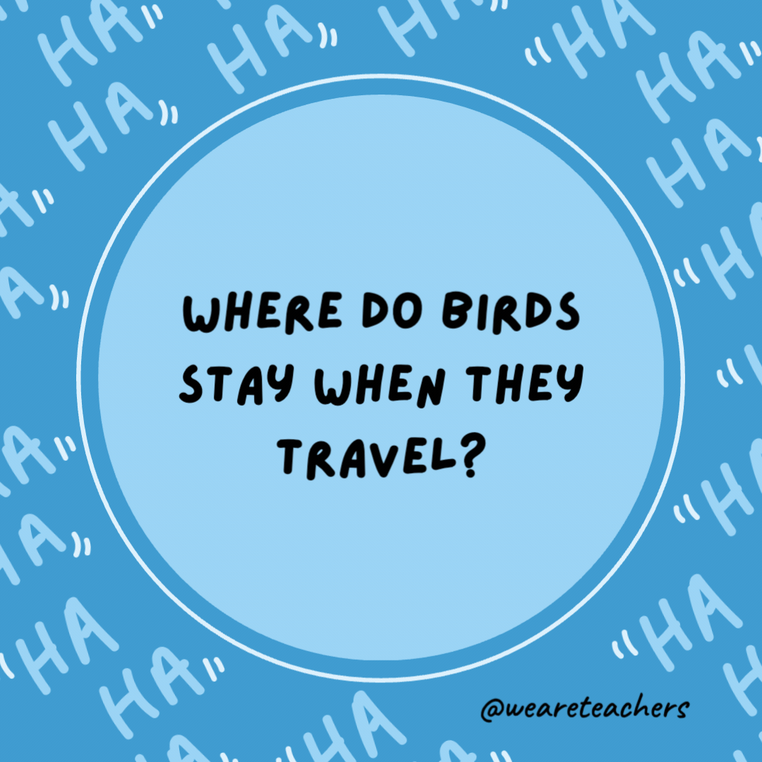 Where do birds stay when they travel?

Someplace cheep.