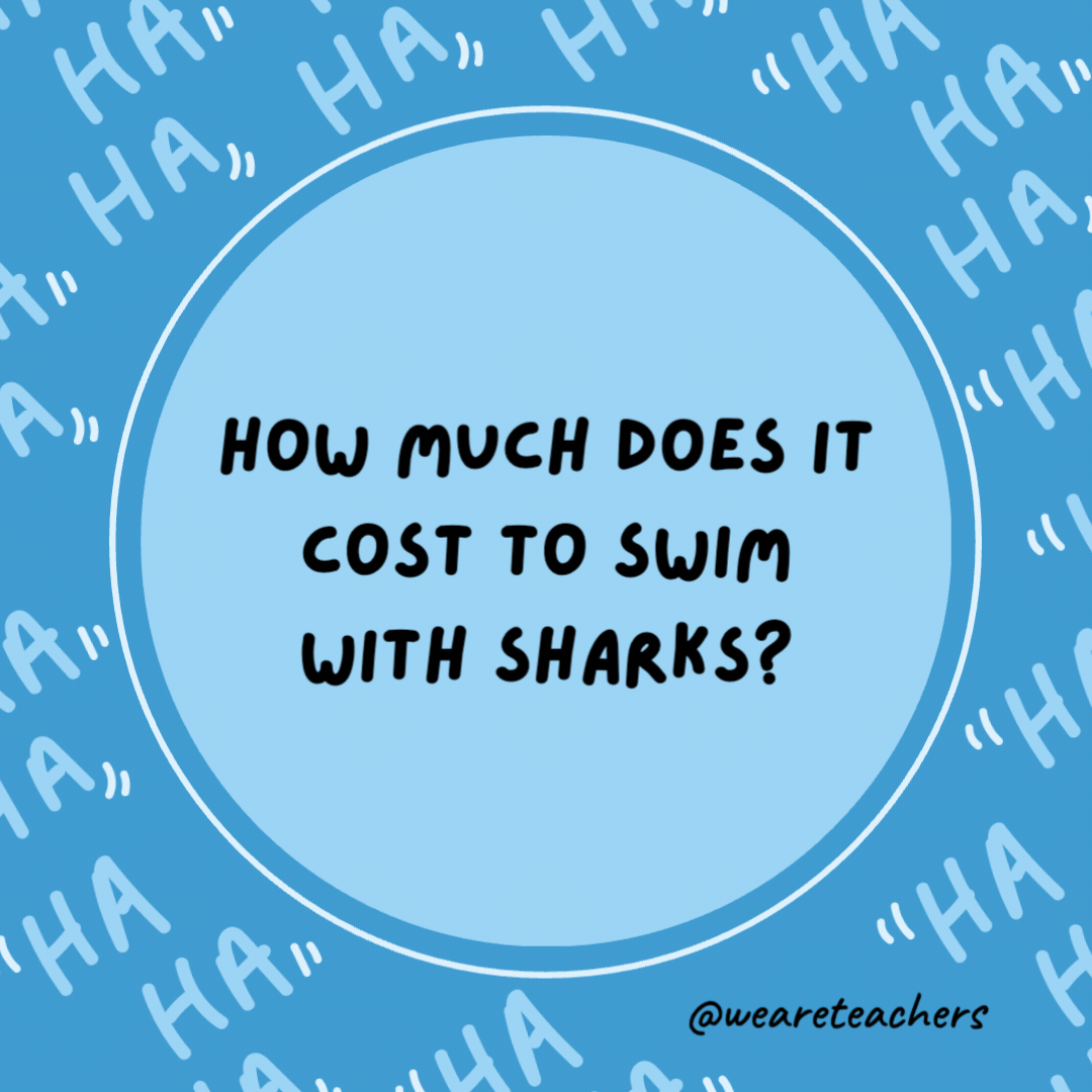 How much does it cost to swim with sharks?

An arm and a leg.