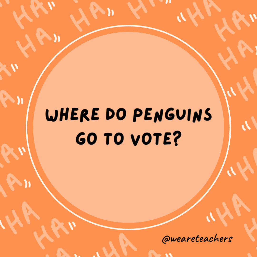Where do penguins go to vote?

The North Poll.