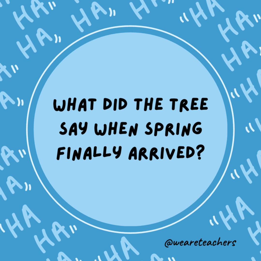 What did the tree say when spring finally arrived?

What a releaf.