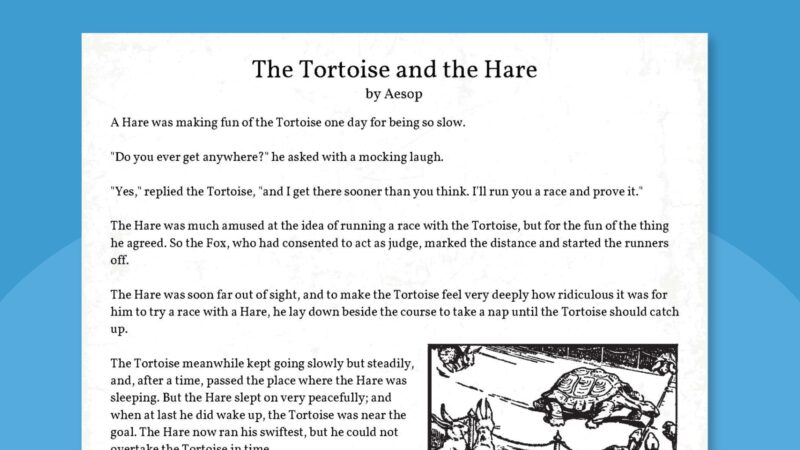 The Tortoise and the Hare pintable story.