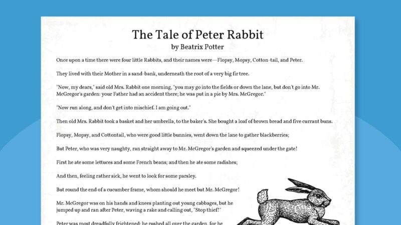 The Tale of Peter Rabbit pintable story.