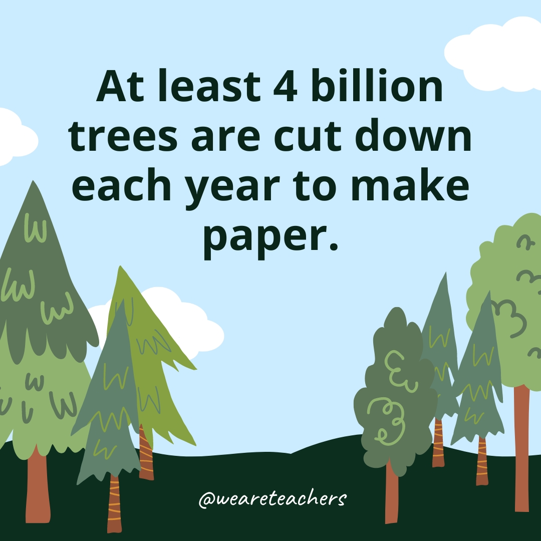 At least 4 billion trees are cut down each year to make paper.