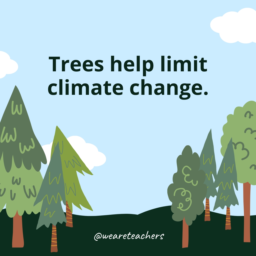Trees help limit climate change.