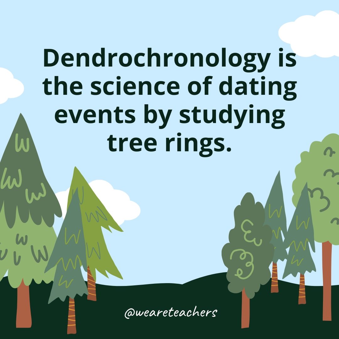 Dendrochronology is the science of dating events by studying tree rings.