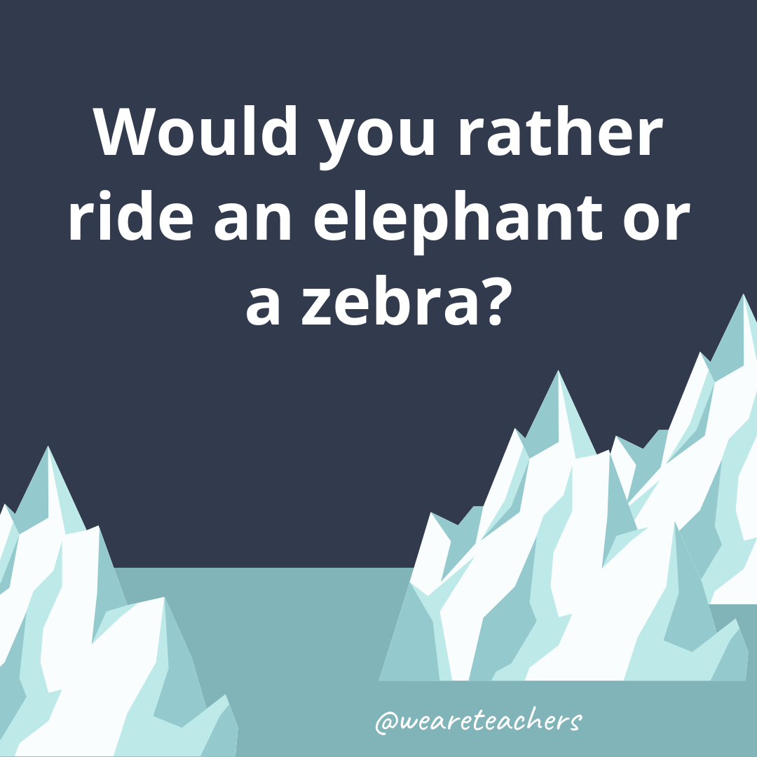 Ride an elephant or a zebra?