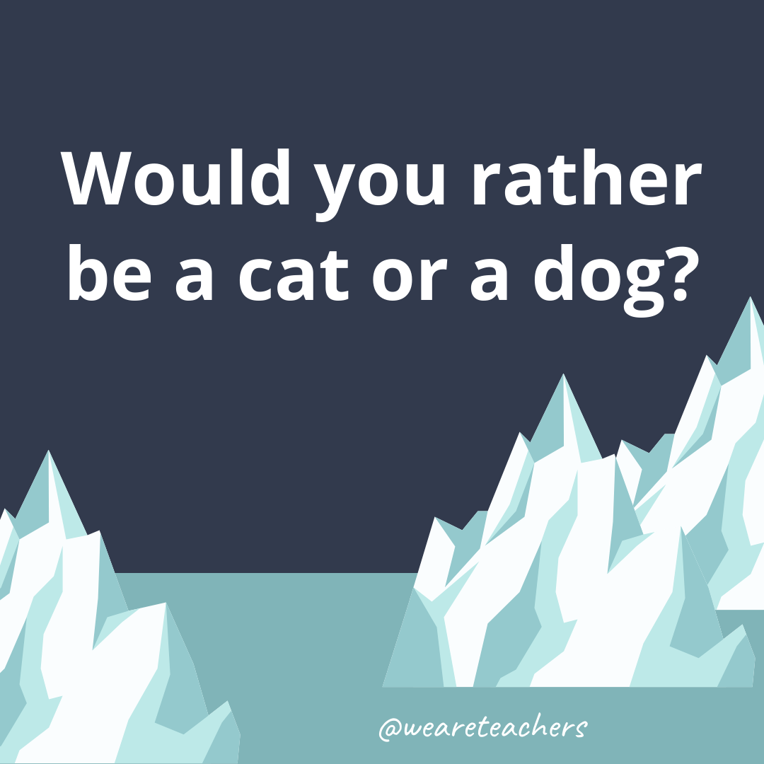 Be a cat or a dog?- fun icebreaker questions
