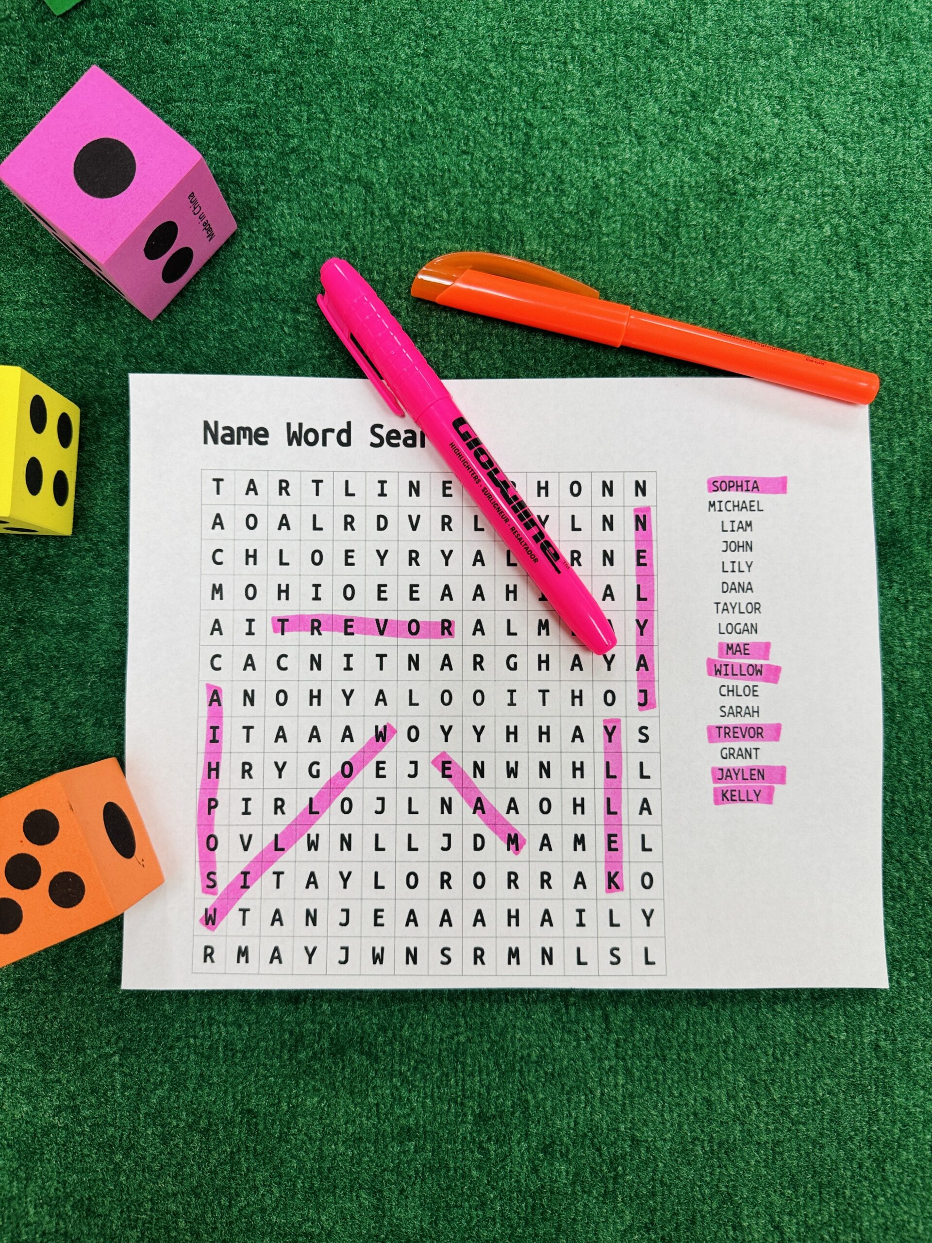 Name Word Search