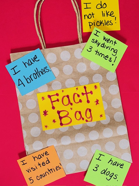 Fact Bag example