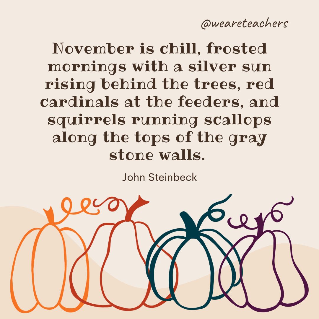 November is chill, frosted mornings with a silver sun rising behind the trees, red cardinals at the feeders, and squirrels running scallops along the tops of the gray stone walls. 