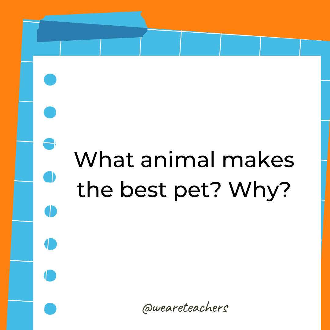 What animal makes the best pet? Why?- 4th grade writing prompts