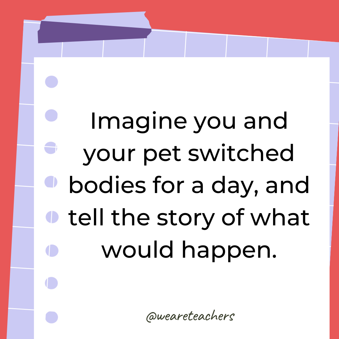 Imagine you and your pet switched bodies for a day, and tell the story of what would happen.- 4th grade writing prompts