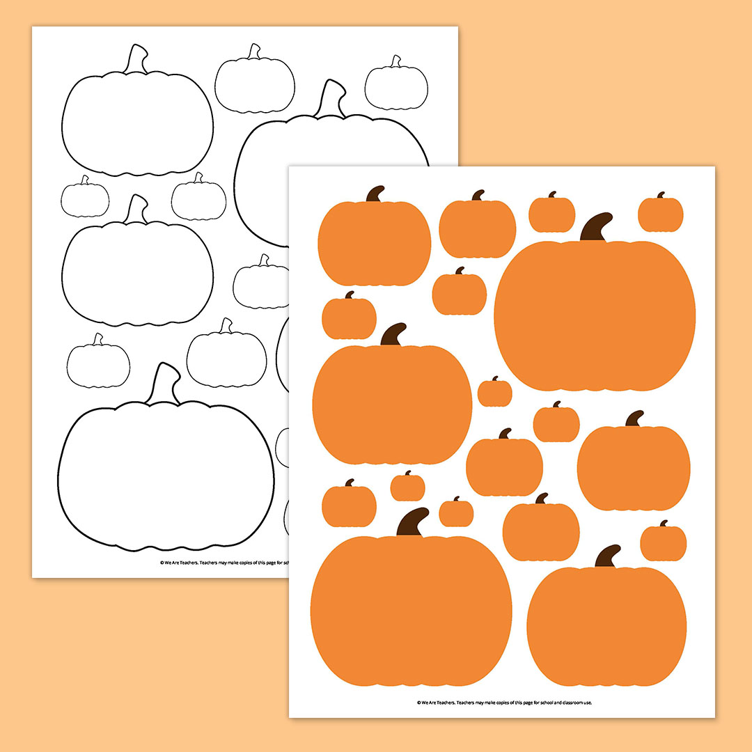 Pumpkins in Different Sizes