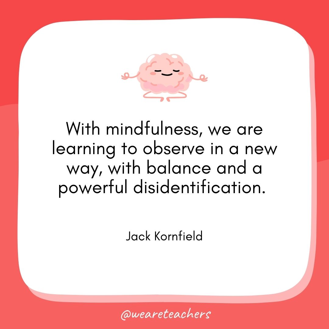 With mindfulness, we are learning to observe in a new way, with balance and a powerful disidentification.