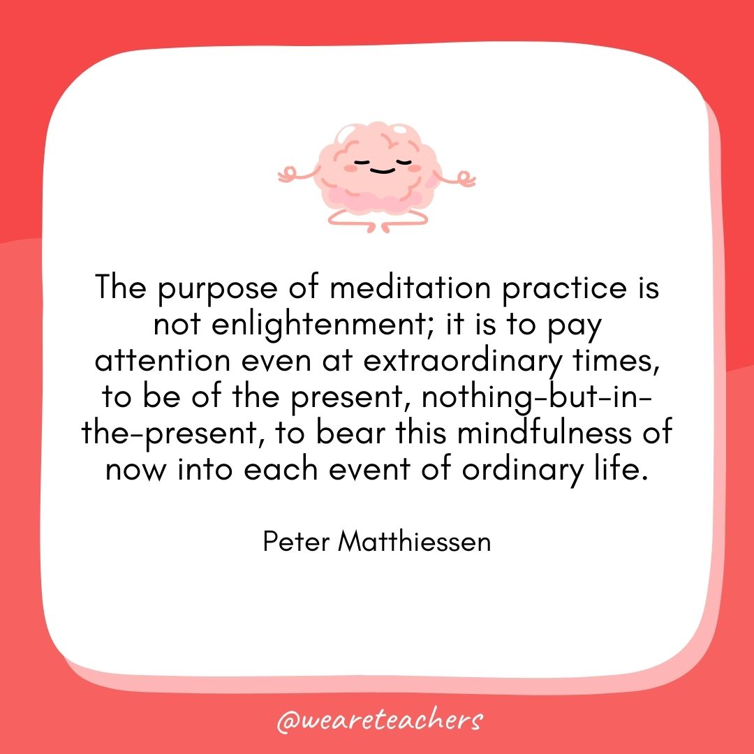 The purpose of meditation practice is not enlightenment; it is to pay attention even at extraordinary times, to be of the present, nothing-but-in-the-present, to bear this mindfulness of now into each event of ordinary life. 