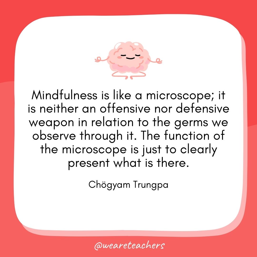 Mindfulness is like a microscope; it is neither an offensive nor defensive weapon in relation to the germs we observe through it. The function of the microscope is just to clearly present what is there