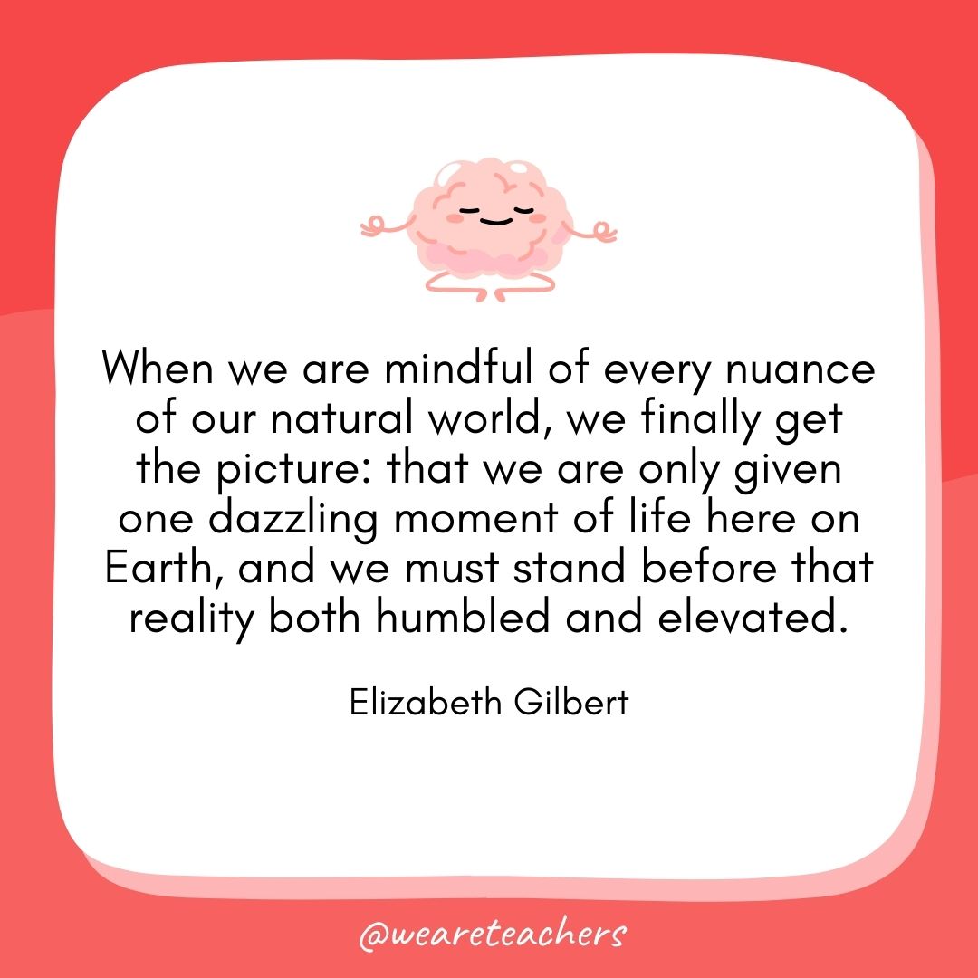 When we are mindful of every nuance of our natural world, we finally get the picture: that we are only given one dazzling moment of life here on Earth, and we must stand before that reality both humbled and elevated. 