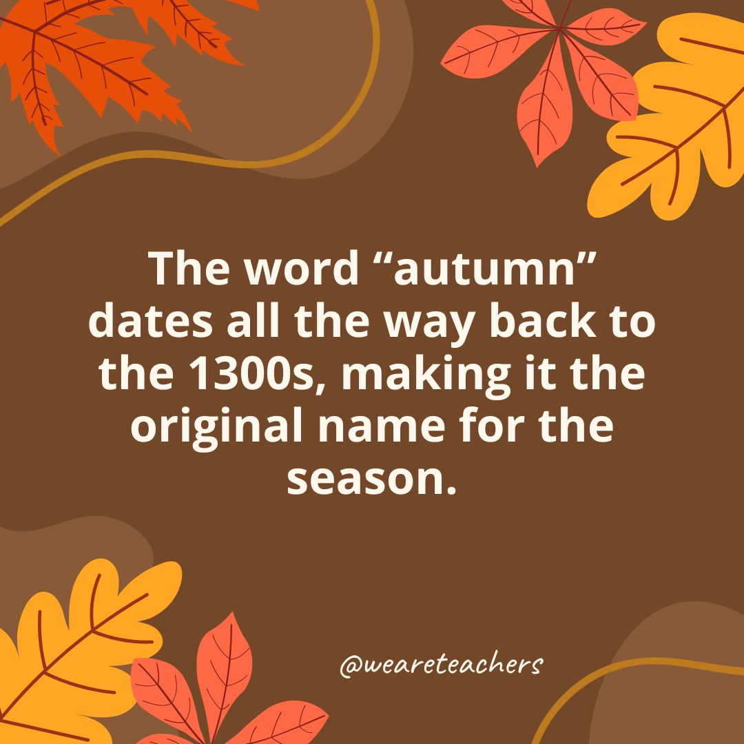 The word “autumn” dates all the way back to the 1300s, making it the original name for the season.