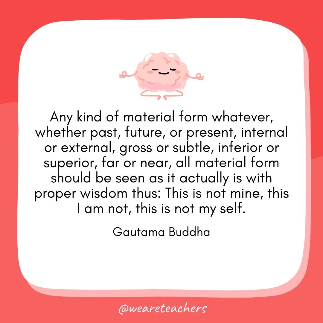 Any kind of material form whatever, whether past, future, or present, internal or external, gross or subtle, inferior or superior, far or near, all material form should be seen as it actually is with proper wisdom thus: This is not mine, this I am not, this is not my self. 