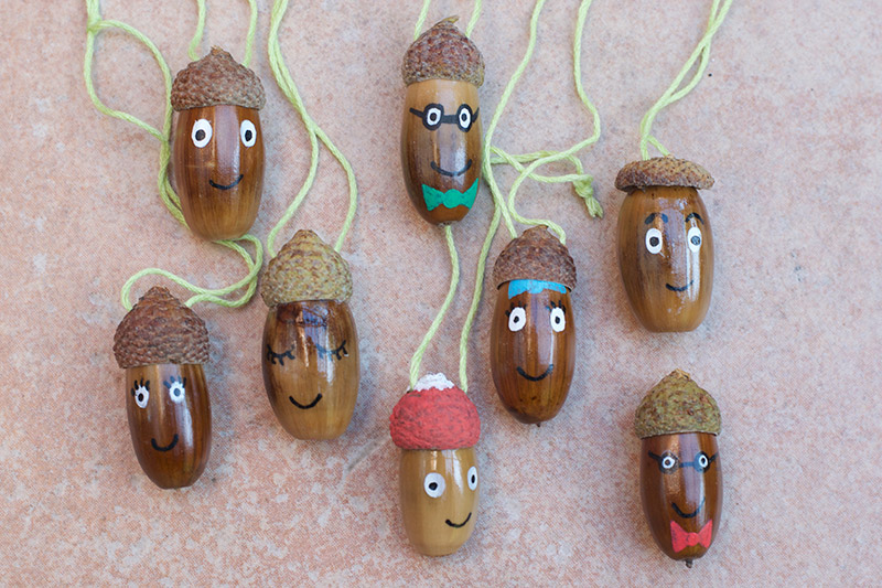 Acorns are painted with different faces on them.