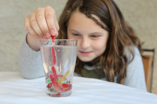 A girl dangles gummy worms into a glass of water