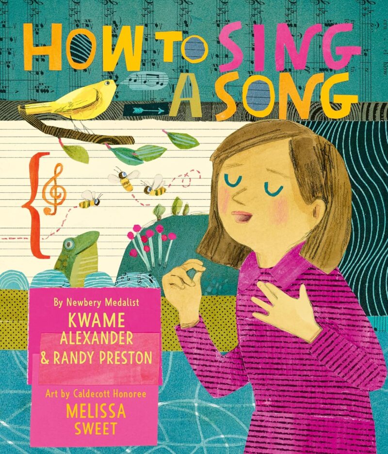 How to Sing a Song book cover