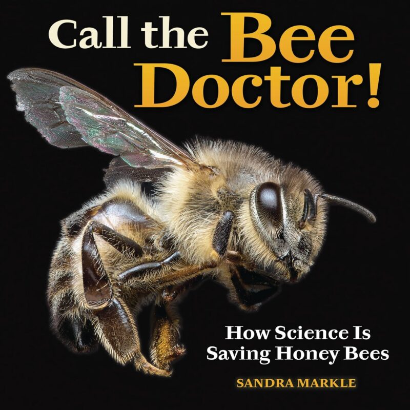 Call the Bee Doctor book cover