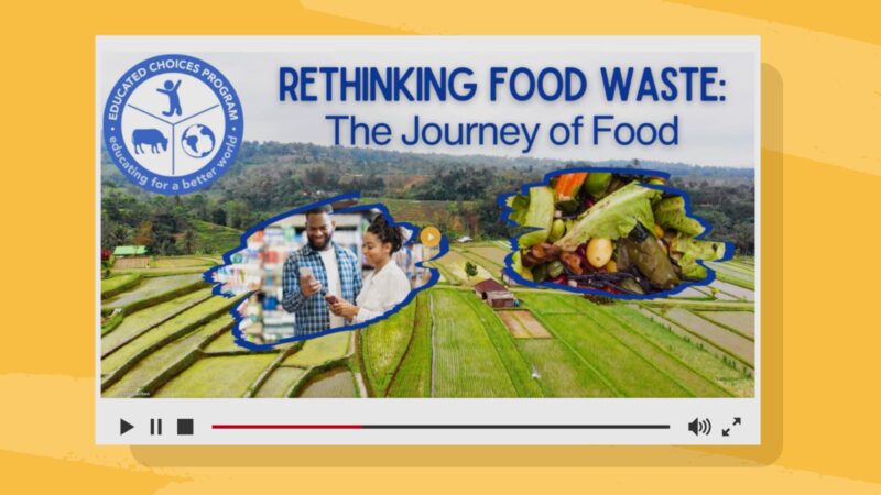 Rethinking food waste