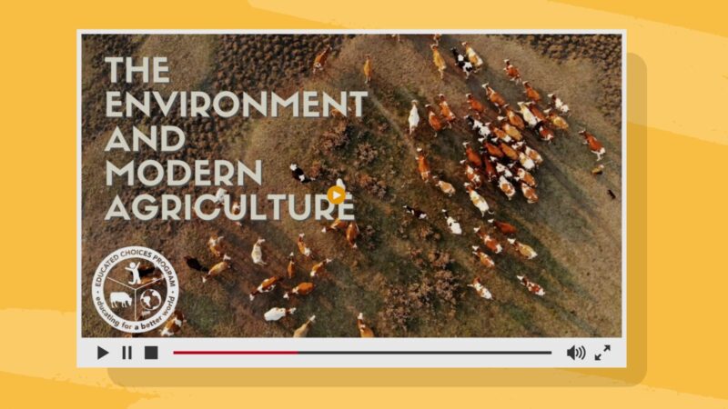 The environment and modern agriculture