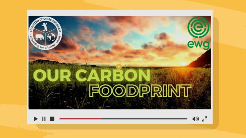 Our carbon footprint nutrition education