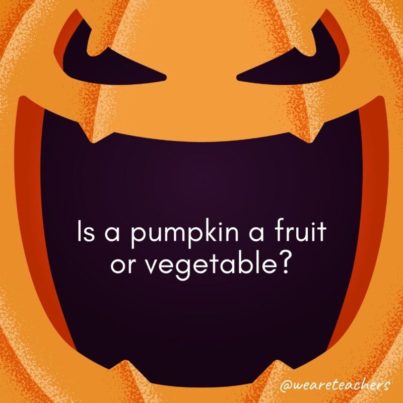 . Is a pumpkin a fruit or vegetable?