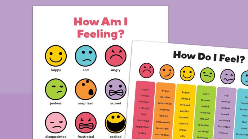 Feelings Chart Feature (1)