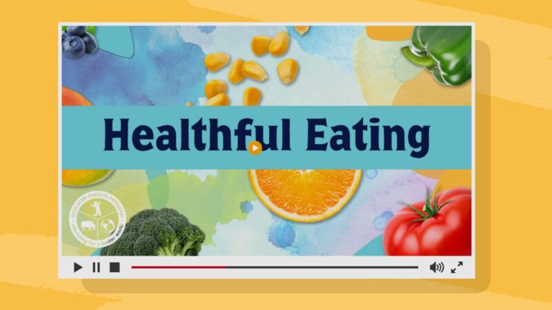 Healthful eating video lesson