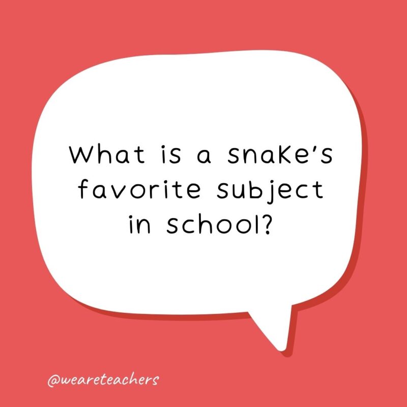 School jokes for kids - What is a snake’s favorite subject in school? Hisssssstory.- school jokes for kids