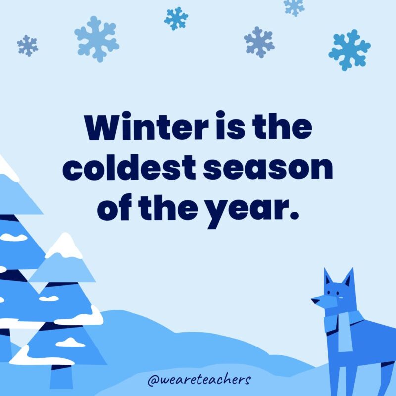 Winter is the coldest season of the year.