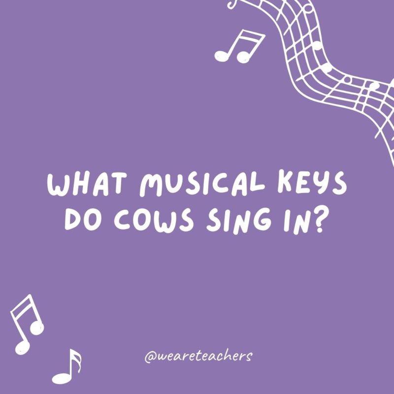 What musical keys do cows sing in?