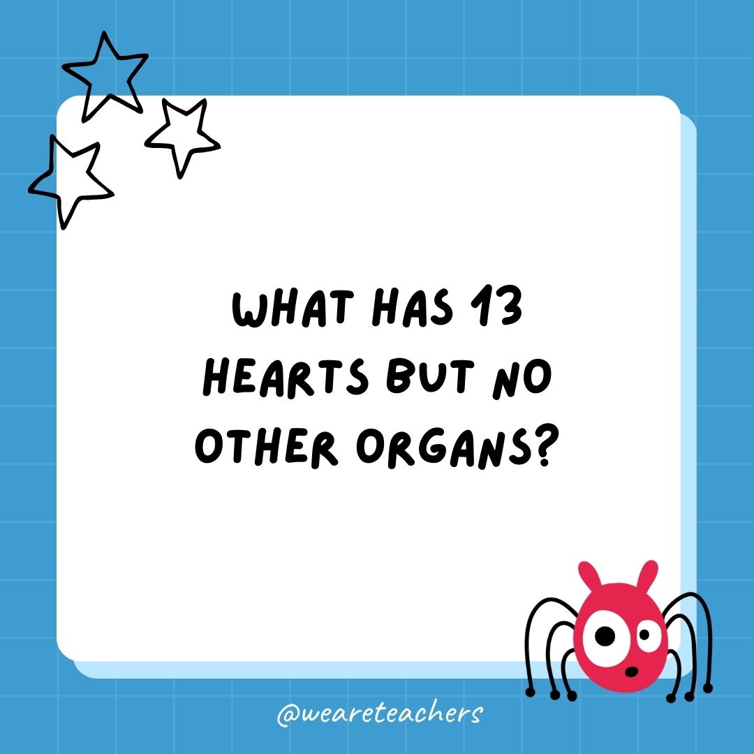 What has 13 hearts but no other organs? 
