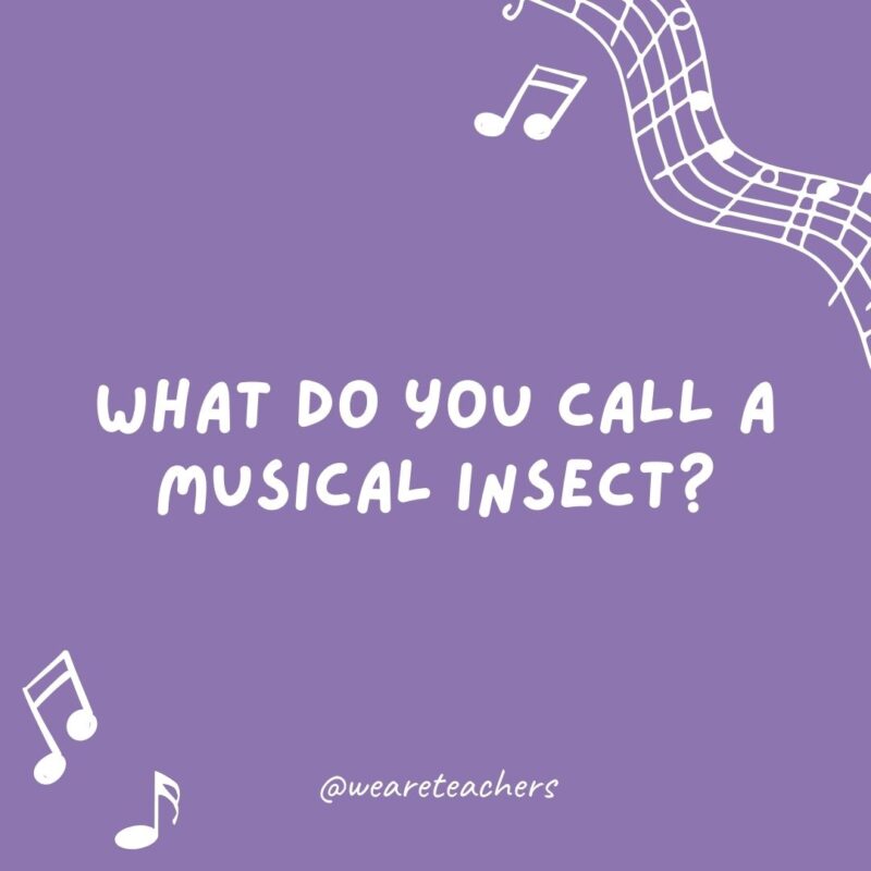 Music jokes: What do you call a musical insect? A humbug.