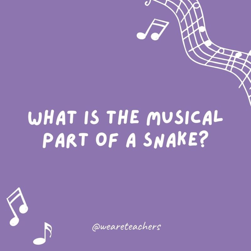 Example of music jokes for kids: What is the musical part of a snake? Its scales.