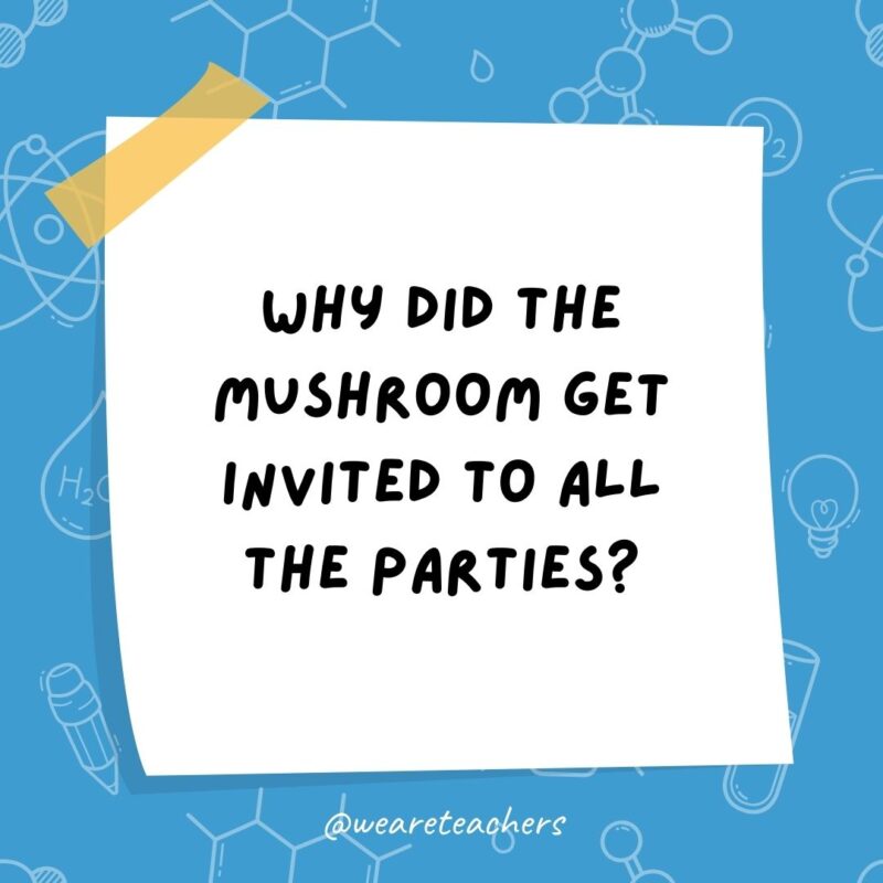 Why did the mushroom get invited to all the parties?