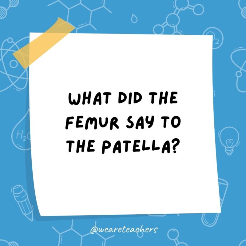 What did the femur say to the patella?