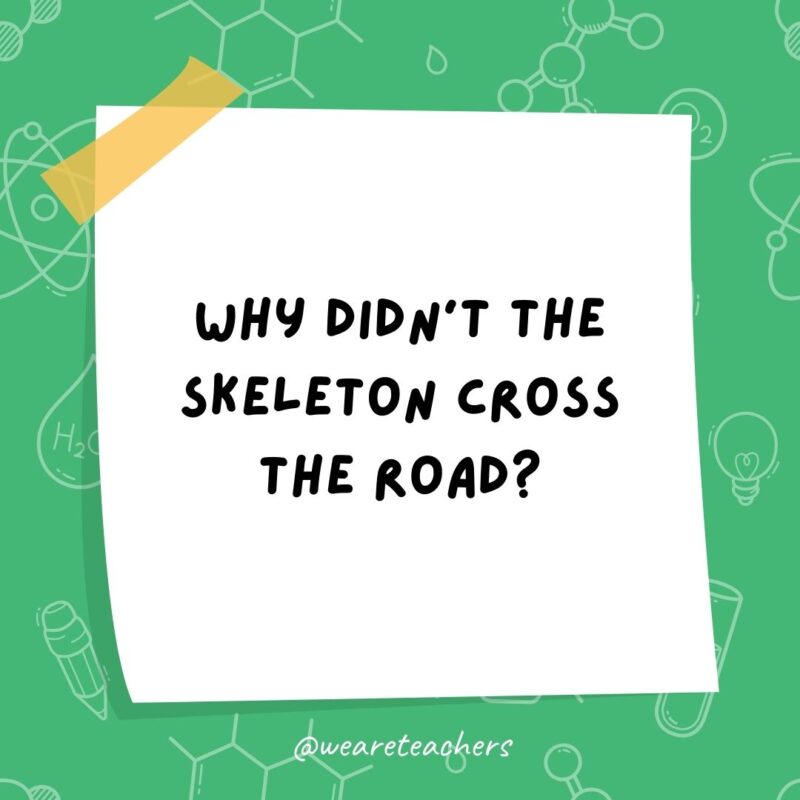 Why didn't the skeleton cross the road? He didn’t have the guts.- science jokes