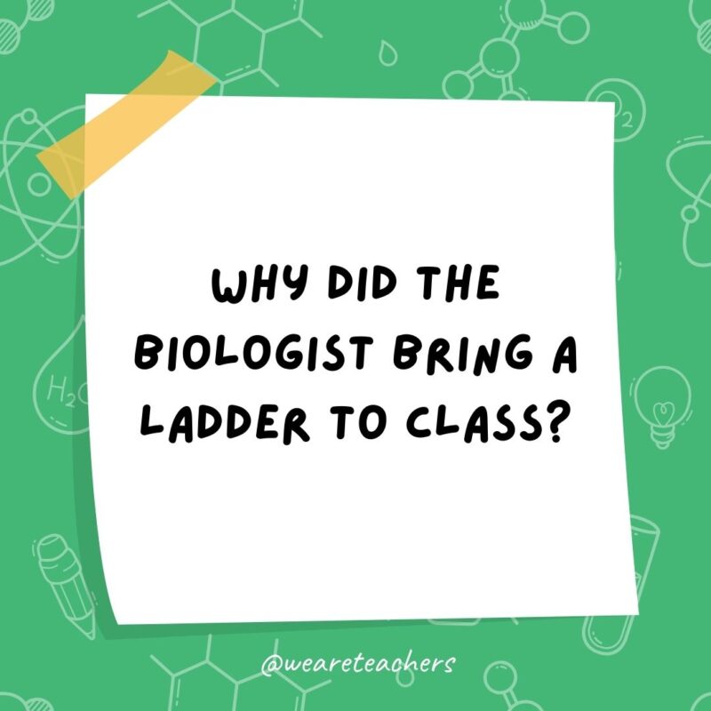 Why did the biologist bring a ladder to class?- science jokes