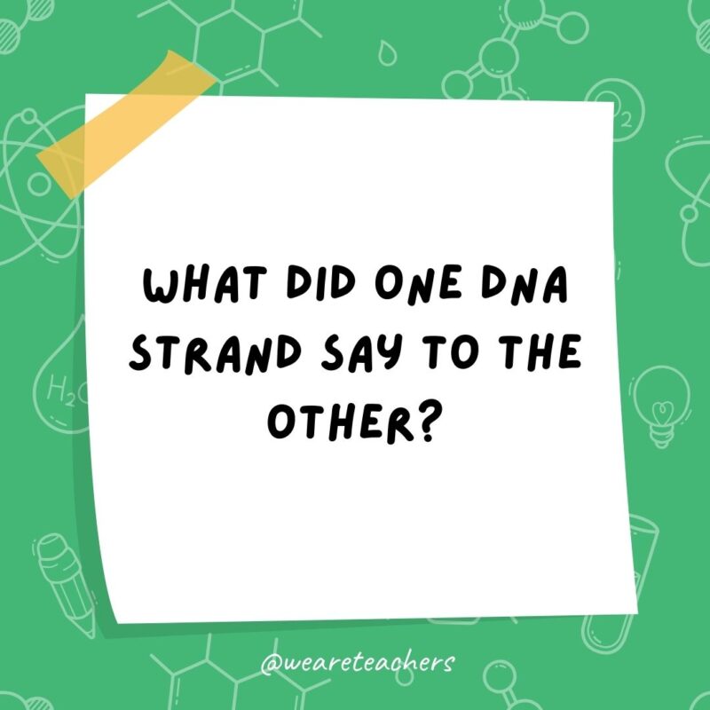 What did one DNA strand say to the other?